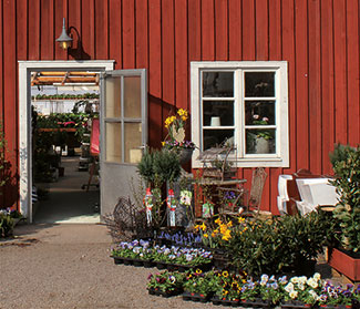 Butik Lundens Växthus blommor